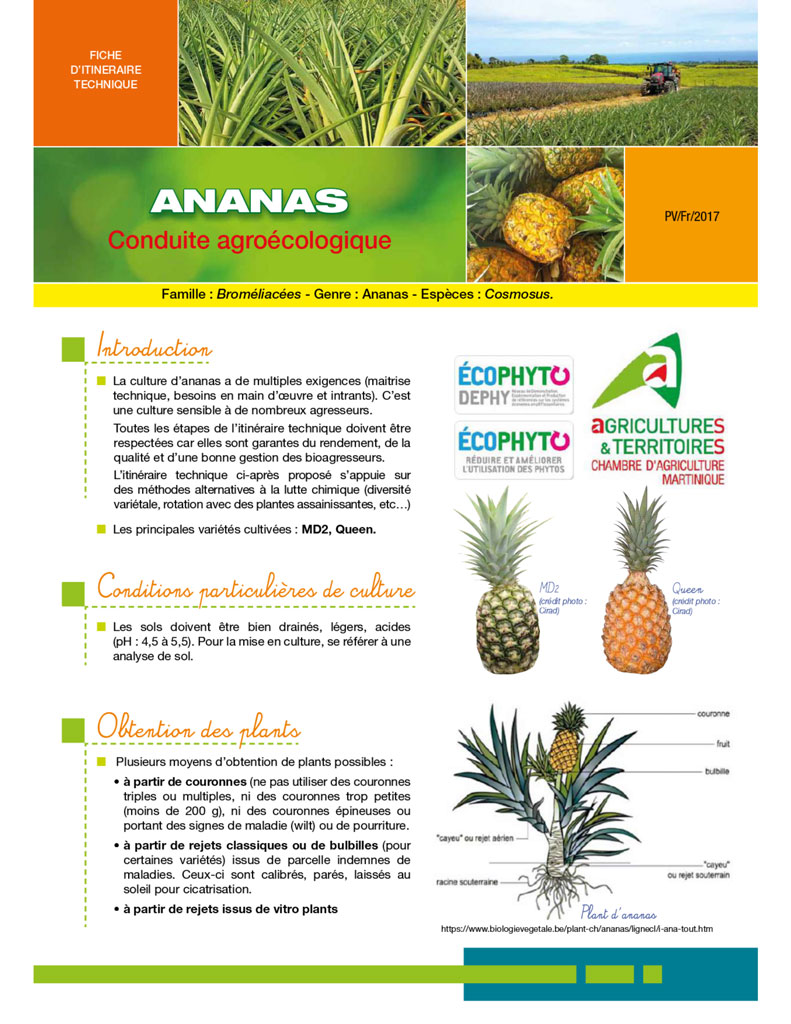 ANANAS : Conduite Agroécologique