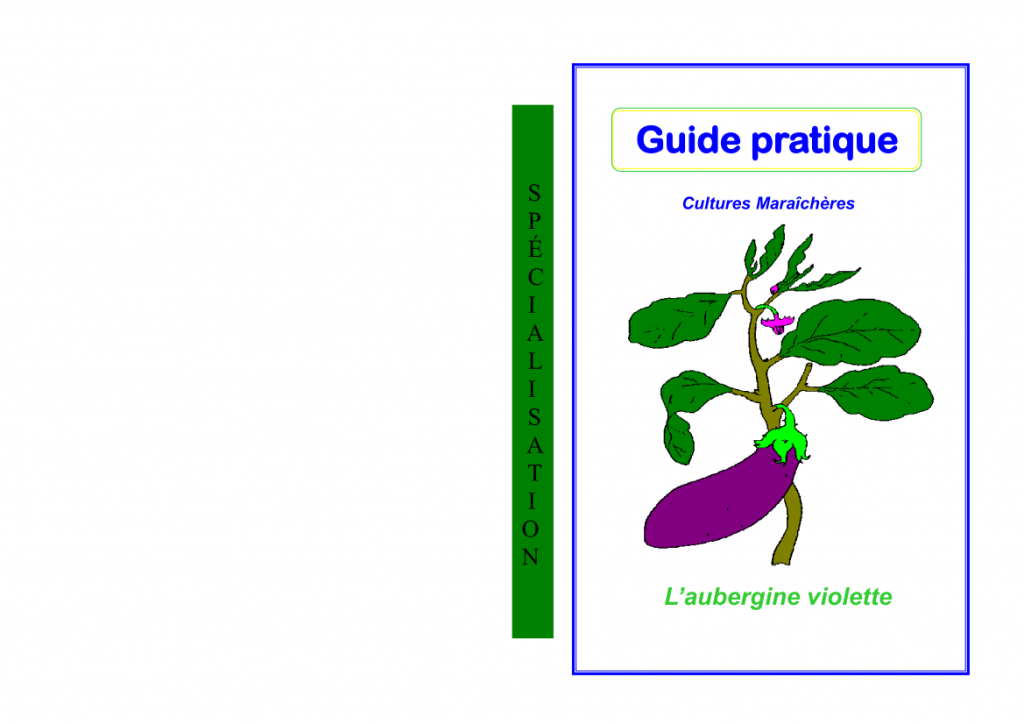 Terre de culture : 
Fiche technique de l'aubergine violette par IGAD
L’aubergine appartient à la famille des Solanacées. Semez en mottes de 4 x 4 cm, enterrez les graines à 3 mm de profondeur. Dès que le plant mesure 8 cm (possède 3 feuilles vraies), repiquez profondément dans un sol riche en humus et frais. Arrosez fréquemment mais de façon peu abondante.